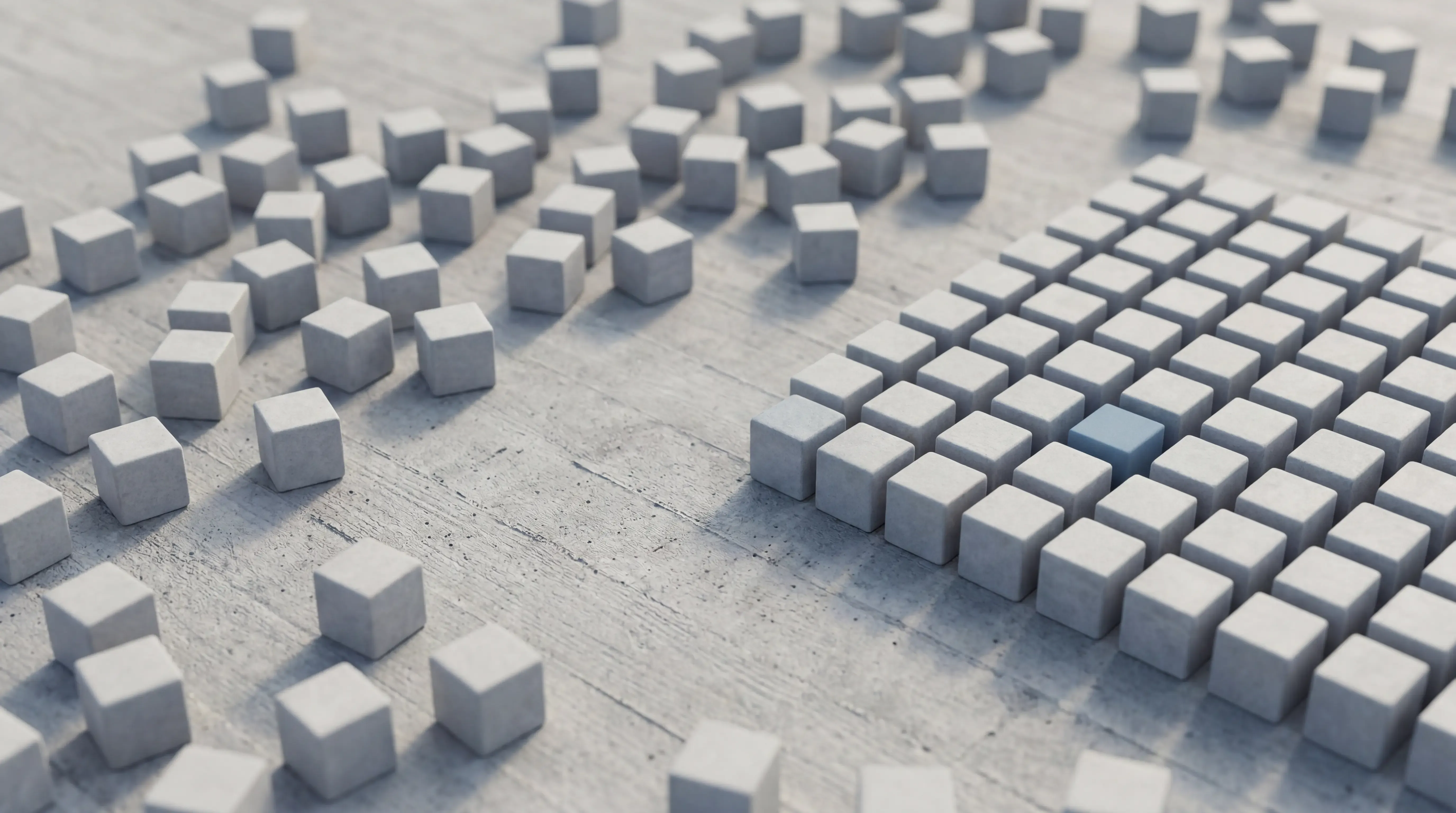 organizing (2)